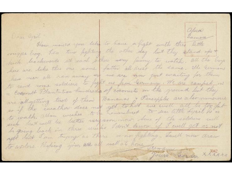 Picture postcard written by an New Zealand soldiert and most likely transported in a cover, with interesting text "....The Ge