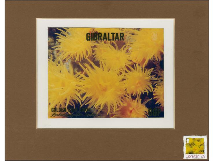 Golden Star Coral - Original composite artwork by M Whyte as submitted for 21 p value on board with overlay for lettering den