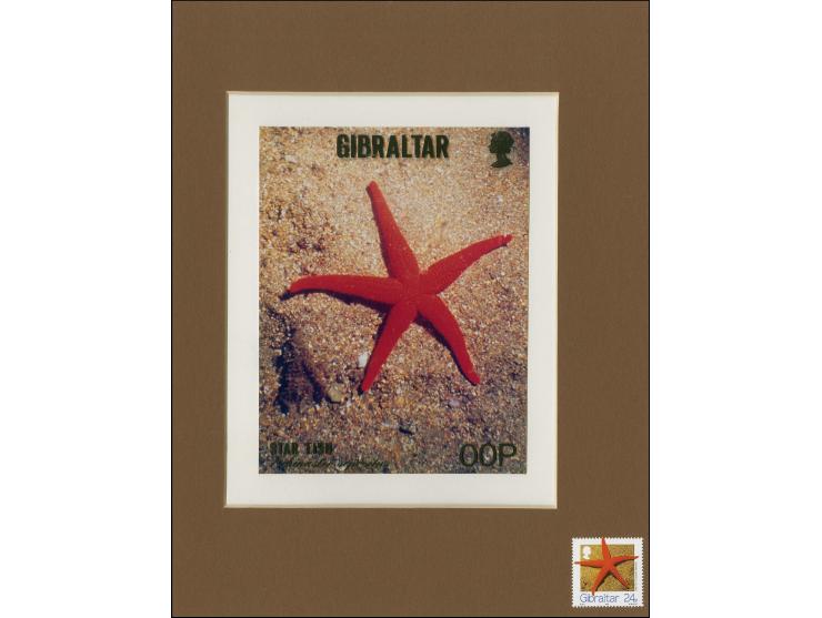 Star Fish - Original composite artwork by M Whyte as submitted for 24p value on board with overlay for lettering denominated 