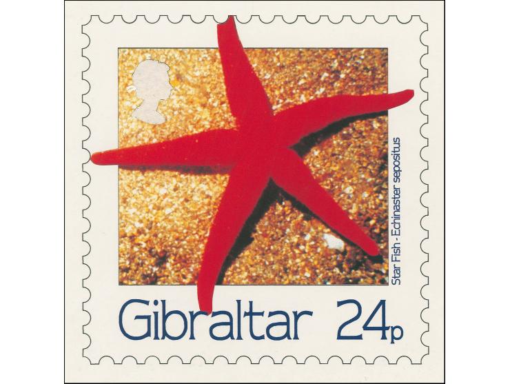 Star Fish - Original composite artwork by M Whyte very similar to issued 24p value on board with lettering image size 135 x 1
