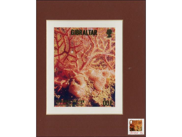 Gorgonian Sea Fan - Original composite artwork by M Whyte as submitted for 34p value on board with overlay for lettering deno