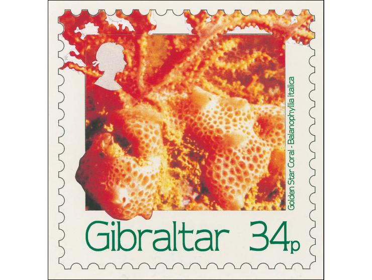 Gorgonian Sea Fan - Original composite artwork by M Whyte very similar to issued 34p value on board with lettering inscribed 