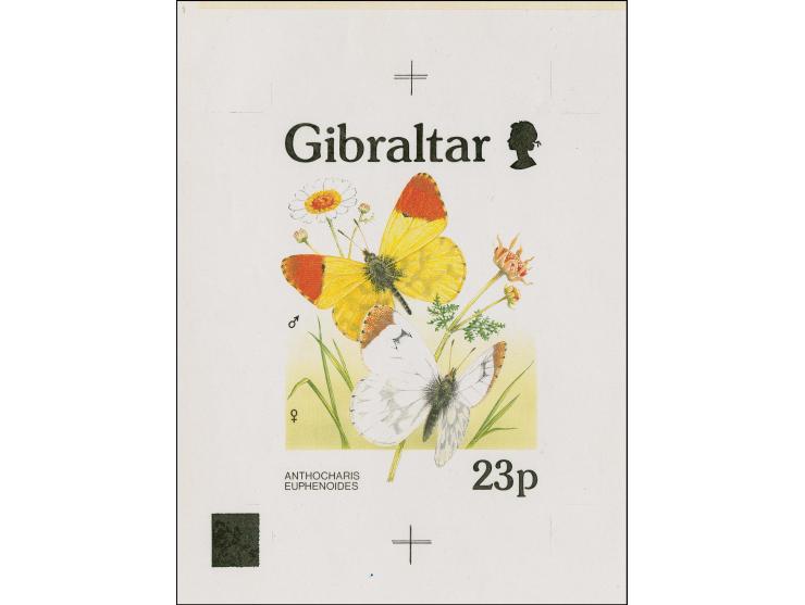 Anthocharis belia euphenoides - Computer generated intermediate stage artwork by Roger Gorringe as used for 23p value on A4 p
