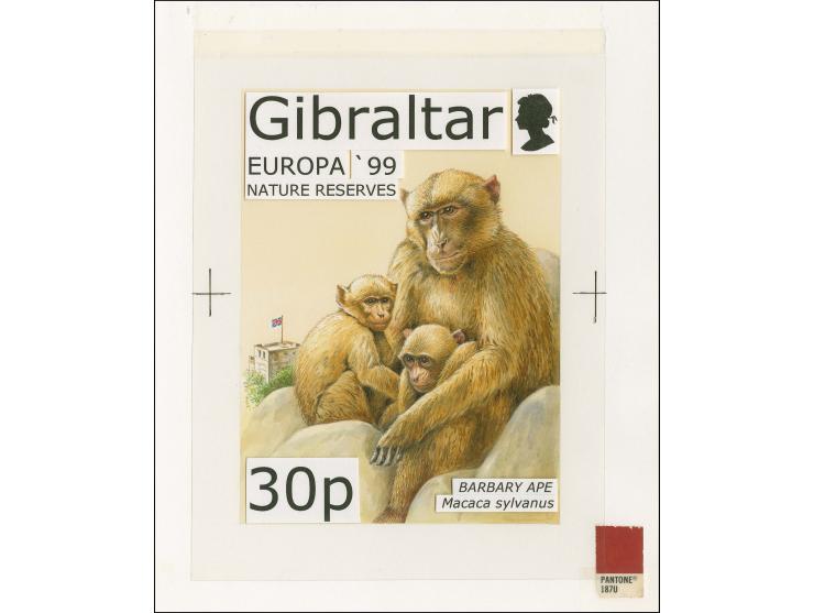 Barbary Macaque - Original hand painted artwork by Roger Gorringe (Famous Sussex artist) as used for 30p value mounted on boa