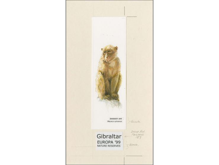 Barbary Macaque - Original hand painted artwork by Roger Gorringe (Famous Sussex artist) as used for the border of 30p sheetl