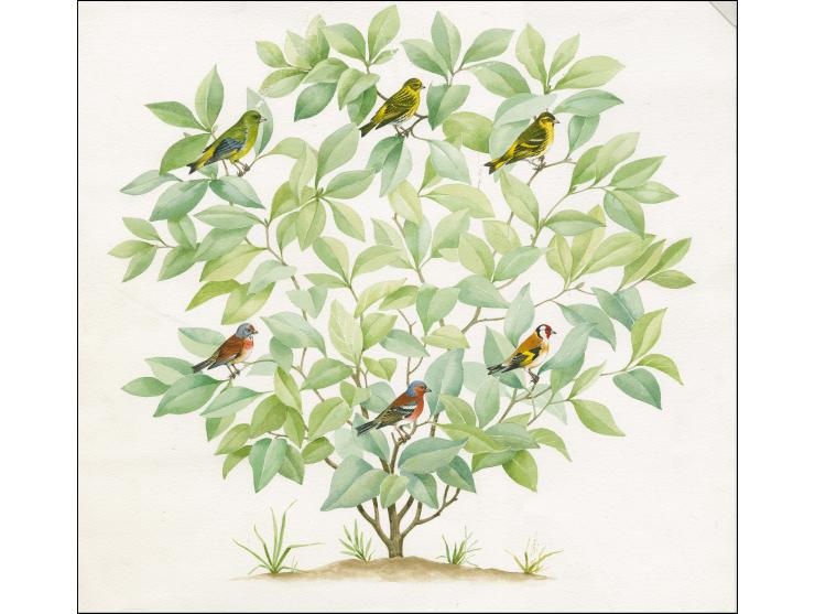 Original hand painted artwork by Roger Gorringe (Famous Sussex artist) featuring all six birds which appeared on the Postage 