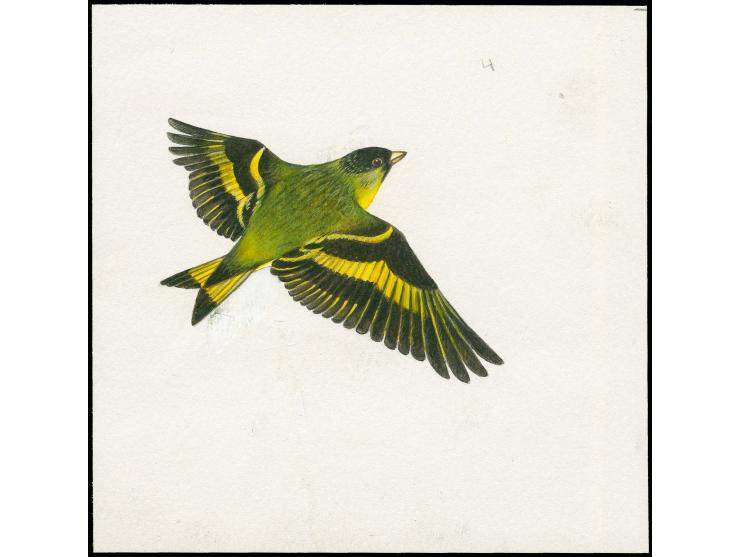 Siskin - Original hand painted artwork by Roger Gorringe (Famous Sussex artist) as used for 20p Postage Due, on paper 125 x 1