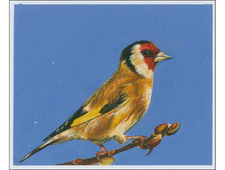Goldfinch - Original hand painted artwork by Sean Matto (local artist) submitted for £2 Postage Due, on card image size 140x1