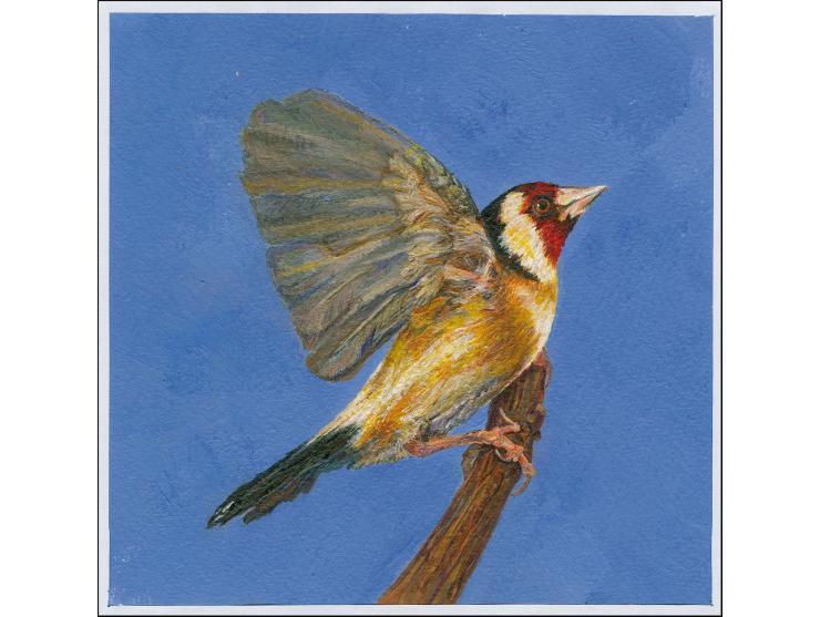 Goldfinch - Original hand painted artwork by Sean Matto (local artist) submitted tor £2 Postage Due, on card image size 140 x