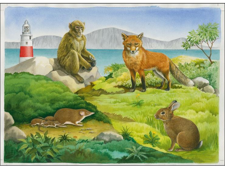 1015 Original watercolour artwork by Roger Gorringe (Famous Sussex artist) as used for Wildlife m/sheet and individual values