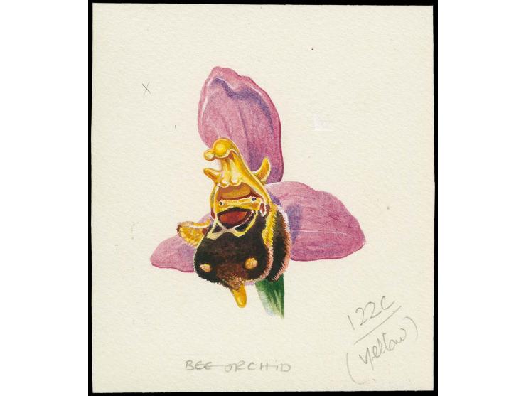 Bee Orchid - Original water colour artwork by Antonia Enthoven after a design by Anselmo Torres submitted for definitive seri