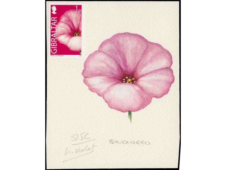 Bindweed - Original water colour artwork by Antonia Enthoven after a design by Anselmo Torres as used for 1p definitive, on c