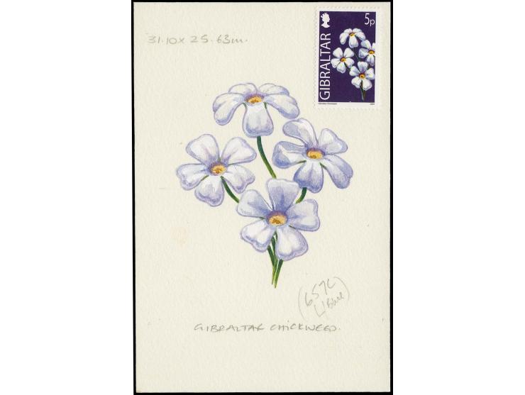 Chickweed - Original water colour artwork by Antonia Enthoven after a design by Anselmo Torres as used for 5p definitive, on 