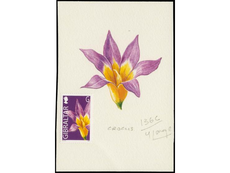 Romulea (Crocus) - Original water colour artwork by Antonia Enthoven after a design by Anselmo Torres as used for 7p (G) defi