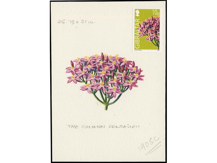Common Centaury - Original water colour artwork by Antonia Enthoven after a design by Anselmo Torres as used for 10p definiti