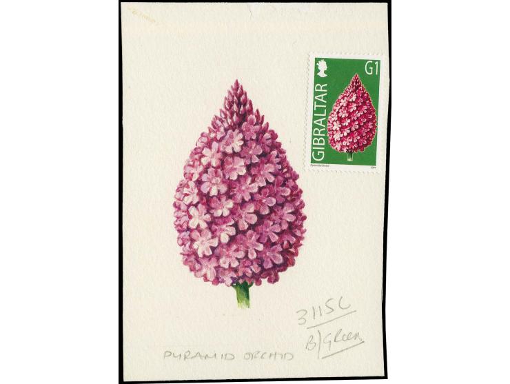 Pyramid Orchid - Original water colour artwork by Antonia Enthoven after a design by Anselmo Torres as used for 12p (G1) defi