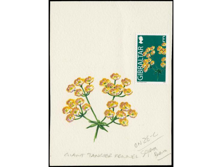 Giant Tangier Fennel - Original water colour artwork by Antonia Enthoven after a design by Anselmo Torres as used for 40p (E)