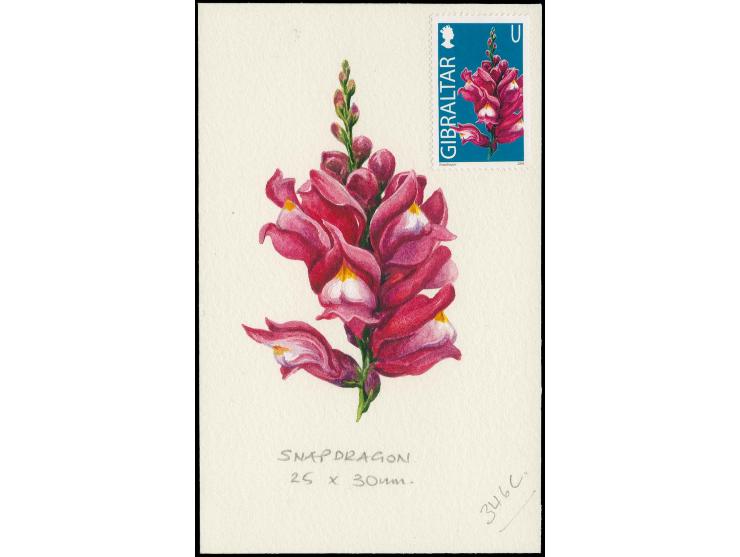 Snapdragon - Original water colour artwork by Antonia Enthoven after a design by Anselmo Torres as used for 47p (U) definitiv