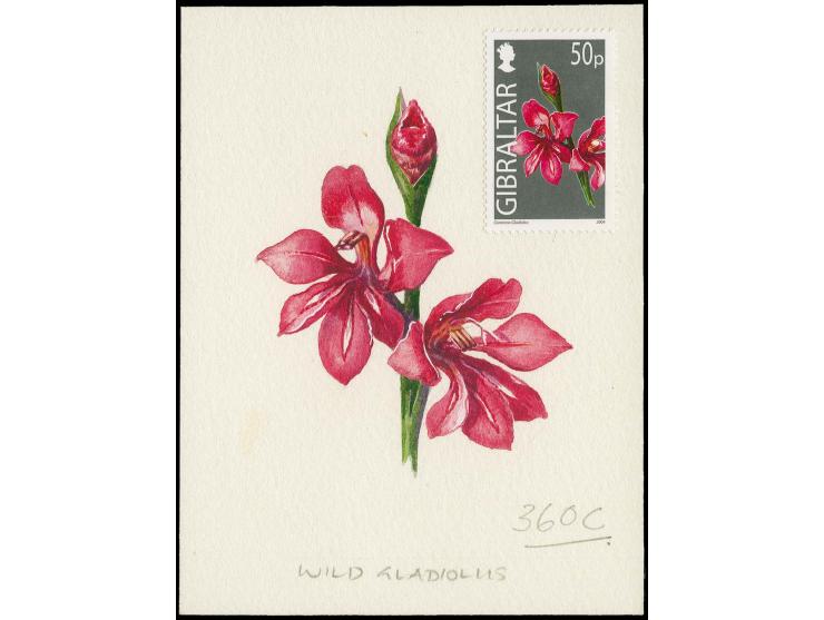 Gladiolus - Original water colour artwork by Antonia Enthoven after a design by Anselmo Torres as used for 50p definitive, on