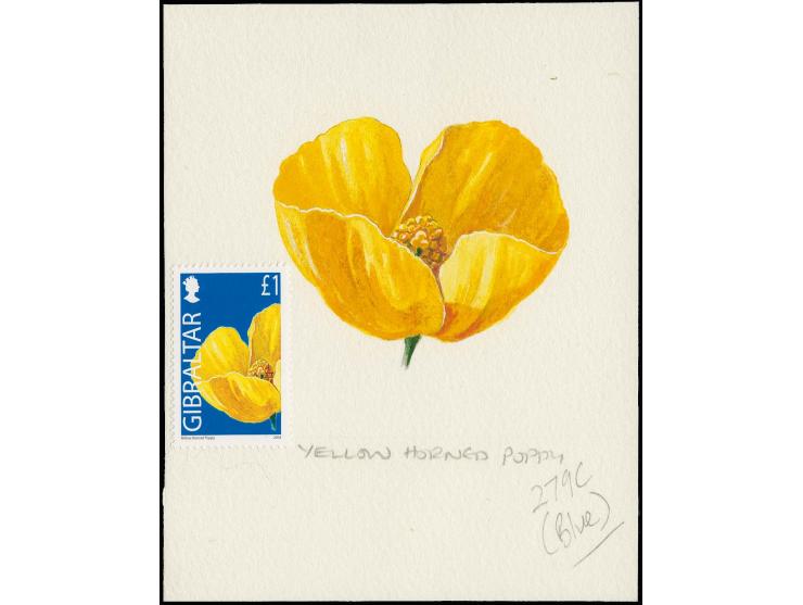 Yellow Horned Poppy - Original water colour artwork by Antonia Enthoven after a design by Anselmo Torres as used for £1 defin