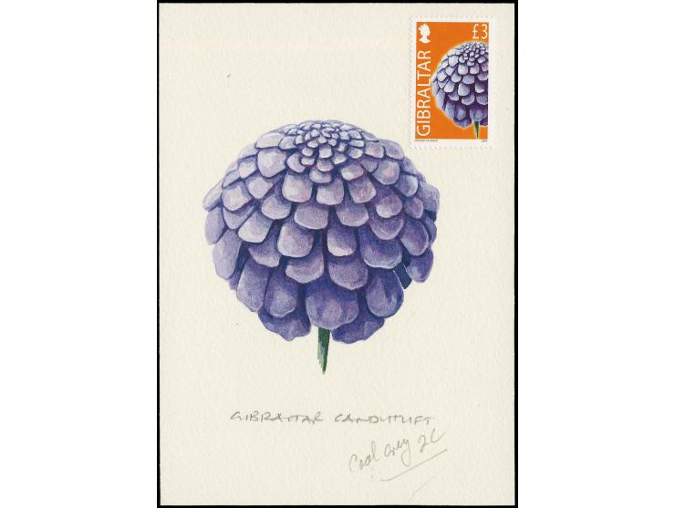 Candytuft - Original water colour artwork by Antonia Enthoven after a design by Anselmo Torres as used for £3 definitive, on 
