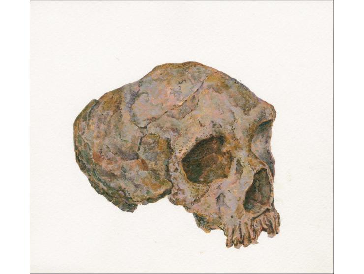 Skull - Original water colour artwork by Sean Matto (local artist) submitted for 47p value but not used, on card approx 160 x