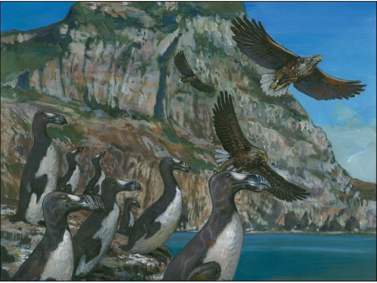 Great Auk - Original hand painted artwork by Christian Hook (Design by Stephen Perera) as used for the 42p stamp and booklet 