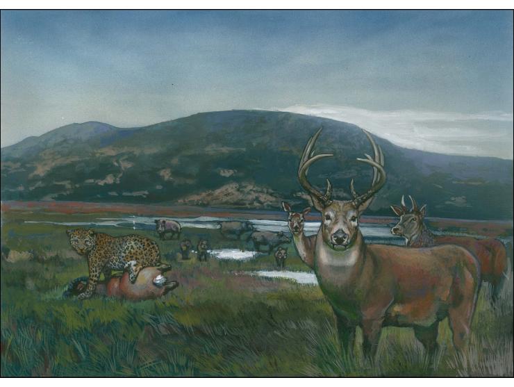 Red Deer & Boar - Original hand painted artwork by Christian Hook (Design by Stephen Perera) as used for the 55p stamp and bo