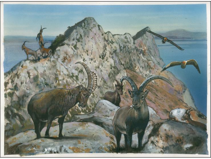 Ibex - Original hand painted artwork by Christian Hook (Design by Stephen Perera) as used for the m/sheet and booklet pane, o