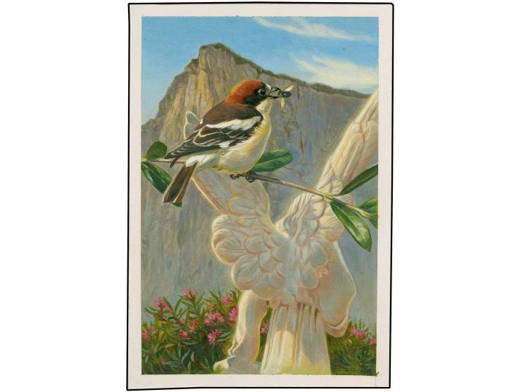 Woodchat Shrike - Original hand painted artwork by Jonathan Pointer (International award winning wildlife artist) designed by