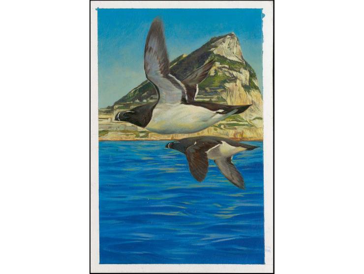Razorbill - Original hand painted artwork by Jonathan Pointer (International award winning wildlife artist) designed by Steph