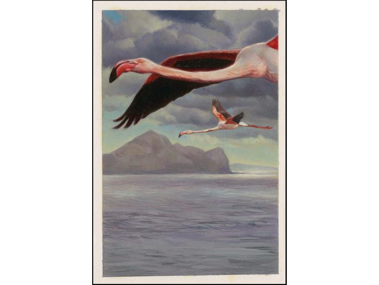 Greater Flamingo - Original hand painted artwork by Jonathan Pointer (International award winning wildlife artist) designed b