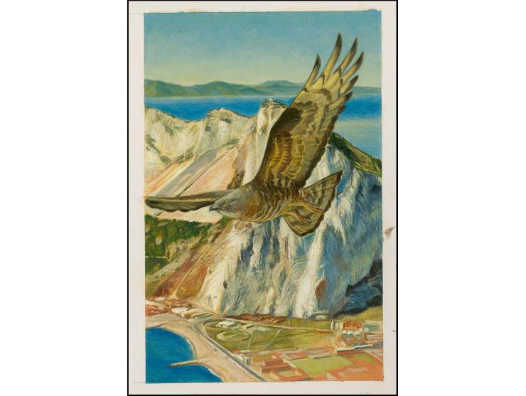 Honey Buzzard - Original hand painted artwork by Jonathan Pointer (International award winning wildlife artist) designed by S