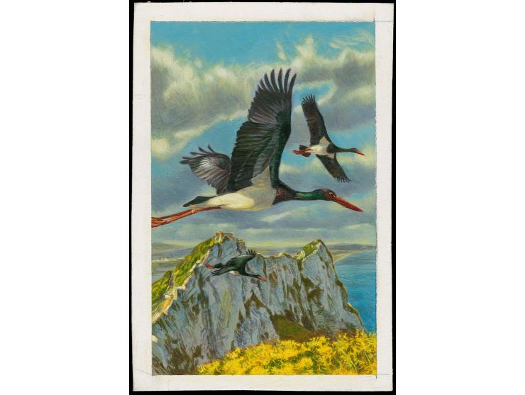 Black Stork - Original hand painted artwork by Jonathan Pointer (International award winning wildlife artist) designed by Ste