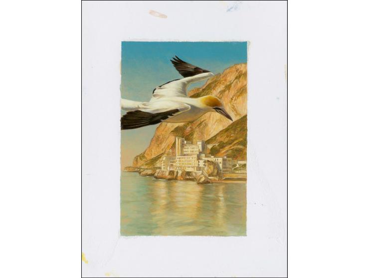 Northern Gannet - Original hand painted artwork by Jonathan Pointer (International award winning wildlife artist) designed by