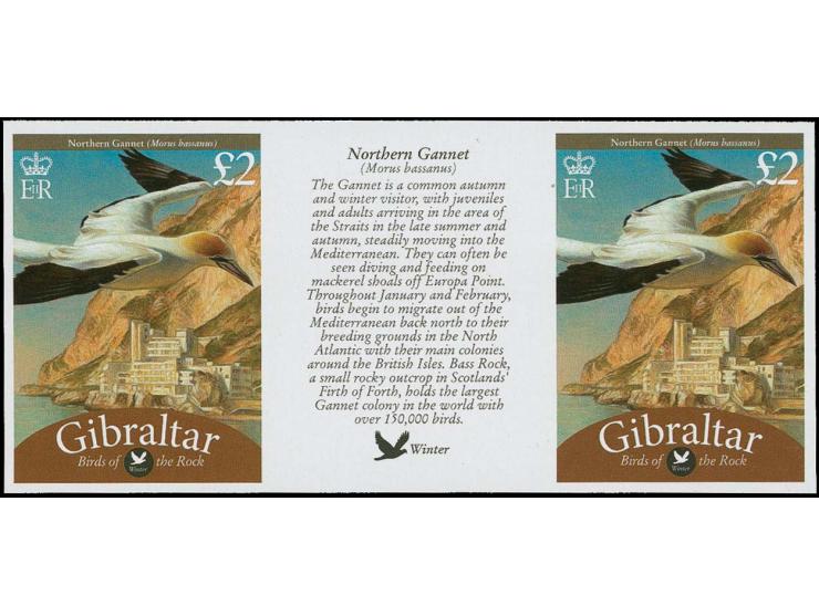 Northern Gannet £2 - imperf inter-paneau gutter proof pair unmounted mint