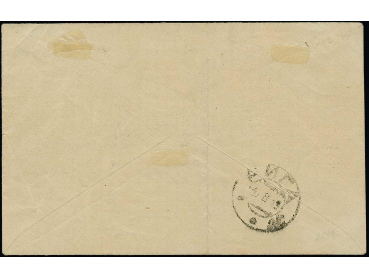 2-3 and 20 and 50 k. with inverted overprint and 10 k. on 5 with normal overprint, tied by cds. "PSKOV 15.8.19" to cover to R