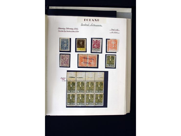 CENTRAL LITHUANIA: 1920/22, unused collection with a wide array of proofs, overprint varieties, printers waste etc., all desc