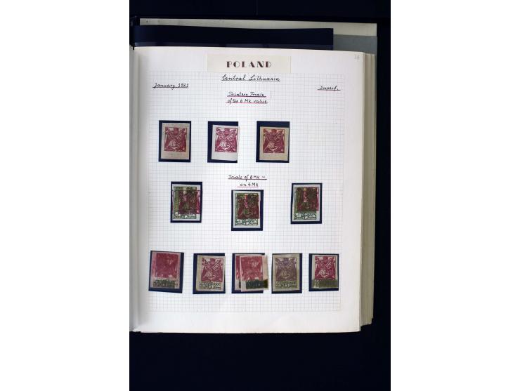 CENTRAL LITHUANIA: 1920/22, unused collection with a wide array of proofs, overprint varieties, printers waste etc., all desc