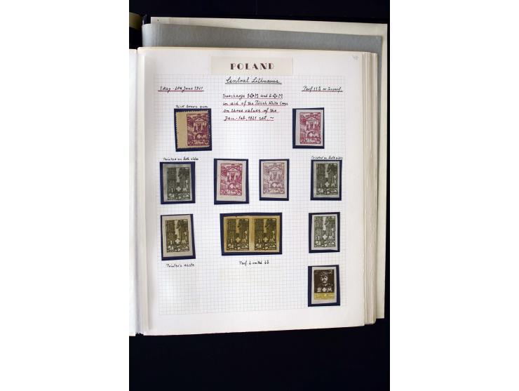 CENTRAL LITHUANIA: 1920/22, unused collection with a wide array of proofs, overprint varieties, printers waste etc., all desc