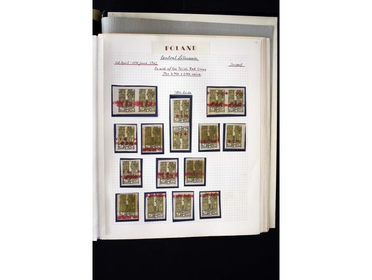CENTRAL LITHUANIA: 1920/22, unused collection with a wide array of proofs, overprint varieties, printers waste etc., all desc