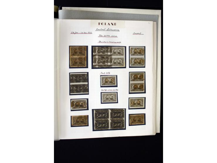 CENTRAL LITHUANIA: 1920/22, unused collection with a wide array of proofs, overprint varieties, printers waste etc., all desc