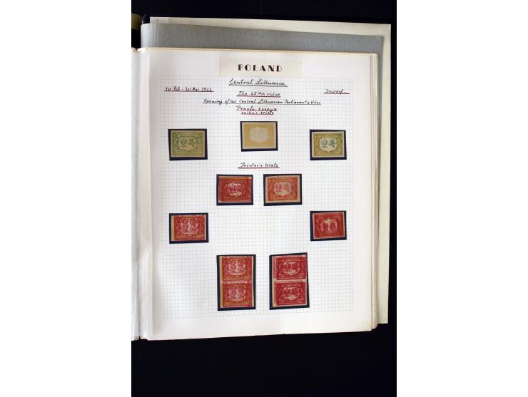 CENTRAL LITHUANIA: 1920/22, unused collection with a wide array of proofs, overprint varieties, printers waste etc., all desc