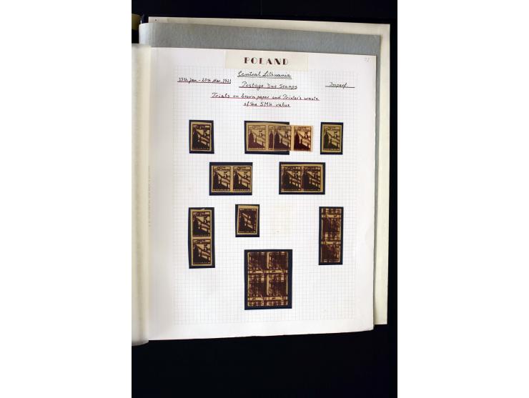 CENTRAL LITHUANIA: 1920/22, unused collection with a wide array of proofs, overprint varieties, printers waste etc., all desc