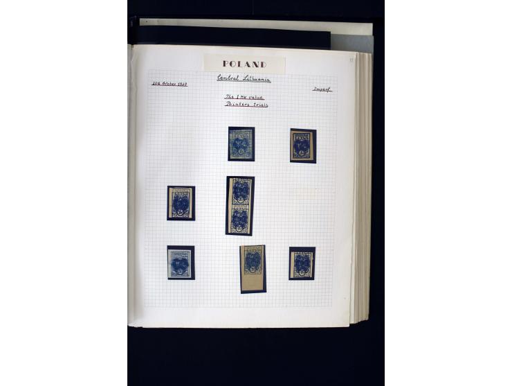 CENTRAL LITHUANIA: 1920/22, unused collection with a wide array of proofs, overprint varieties, printers waste etc., all desc
