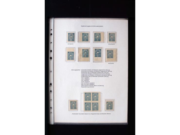 1919, Issue for North-Latvia, interesting used and unused collection containing many tête-bêche, perforation varieties, postm