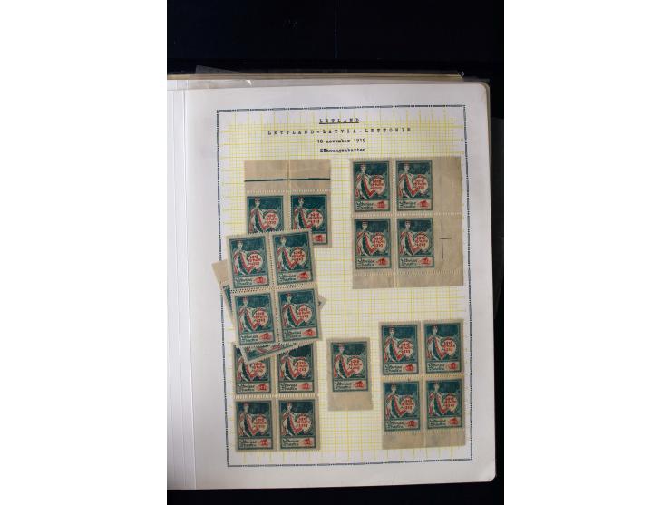 1919, 1st Anniversary of Independence 10 k. - 1 r., unused and used collection containing many plate flaws, perforation varie