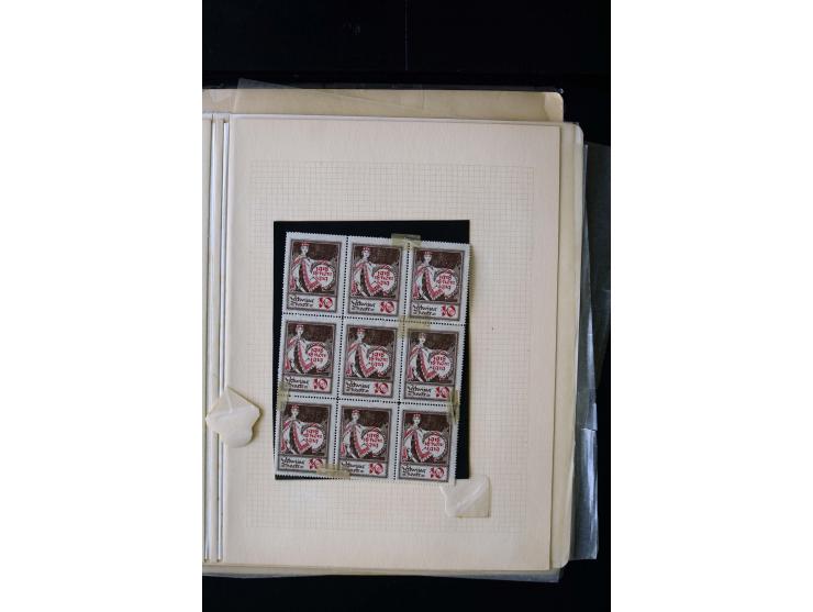 1919, 1st Anniversary of Independence 10 k. - 1 r., unused and used collection containing many plate flaws, perforation varie