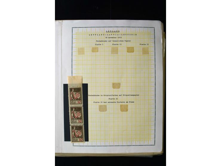 1919, 1st Anniversary of Independence 10 k. - 1 r., unused and used collection containing many plate flaws, perforation varie