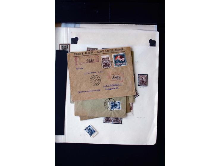 1920, 10 - 30 r. and 2 r., unused and used collection containing Mi.-No. 10 - 30 as pair imperforated between, also offsets, 